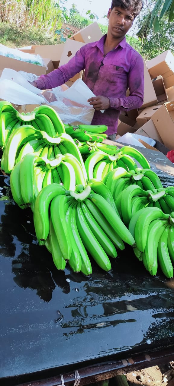 Lukman Fruits Private Ltd.