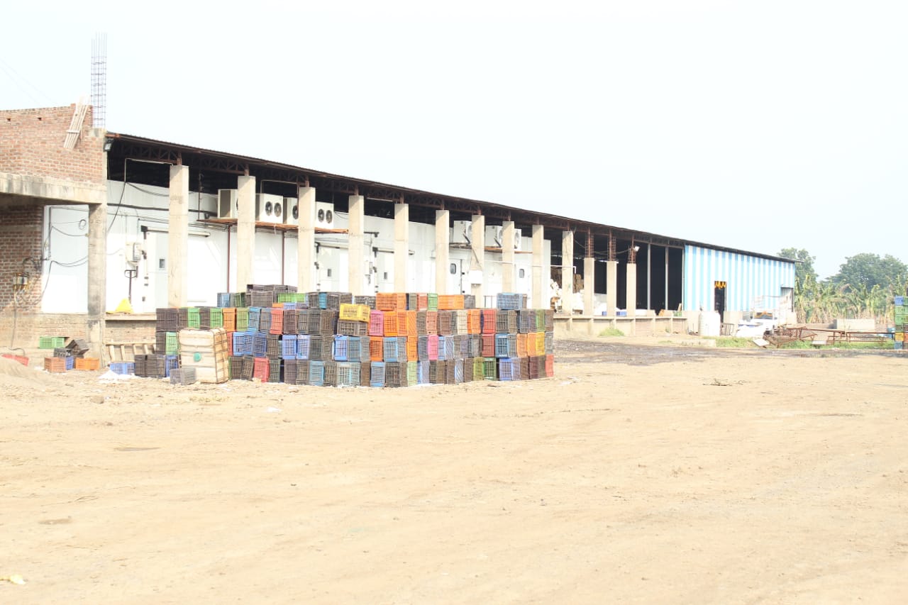 Lukman Fruits Private Ltd.