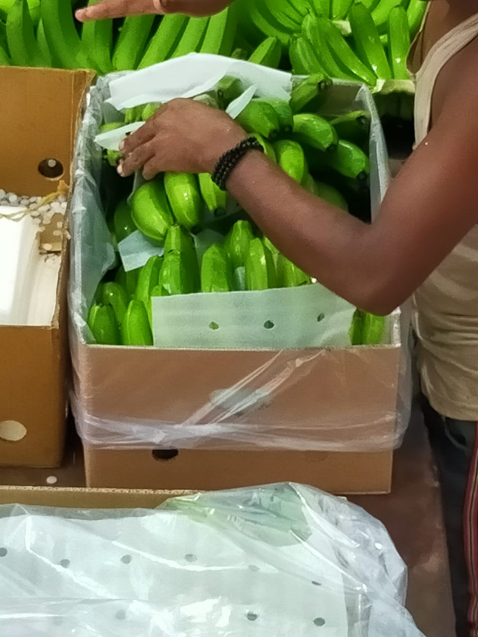 Lukman Fruits Private Ltd.