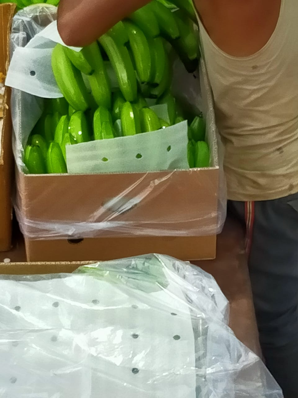 Lukman Fruits Private Ltd.