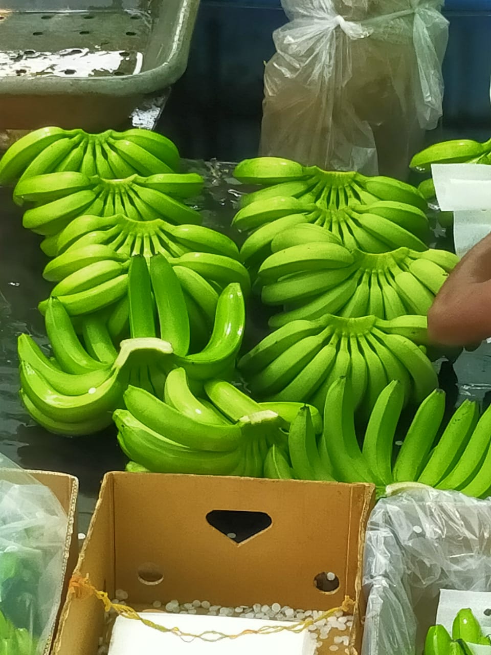 Lukman Fruits Private Ltd.